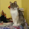Отзыв от Вика Королькова